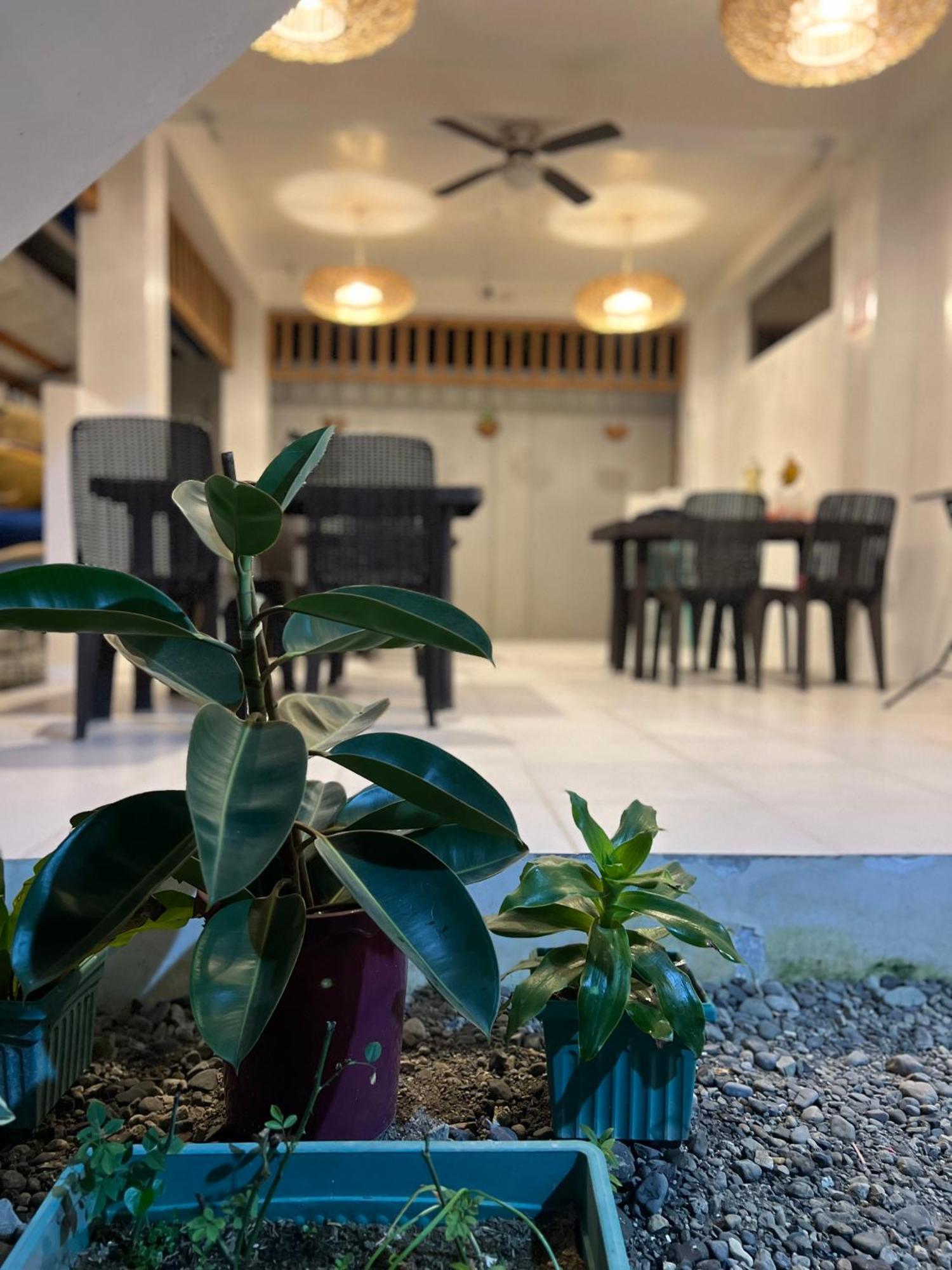 Sunny Terrace Hotel Baler Luaran gambar